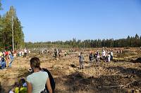 Акция «Наш лес. Посади свое дерево» в Ликино-Дулевском благочинии