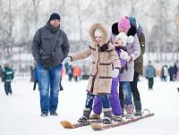 Рождество Христово в&nbsp;Богородском благочинии
