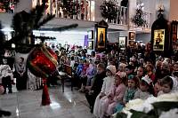 Рождество Христово в&nbsp;Богородском благочинии
