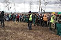 Акция &laquo;Лес Победы&raquo; в&nbsp;Ликино-Дулевском благочинии