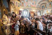 Богослужение в&nbsp;Богородицерождественском храме села Анискино Щелковского района