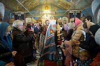 Богослужение в&nbsp;Богородицерождественском храме села Анискино Щелковского района