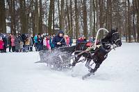 Сретенский съезд православной молодежи Богородского благочиния
