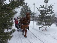 День православной молодежи в&nbsp;Покровском храме села Воскресенское
