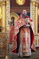 Собор новомучеников Богородских
