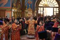 Архипастырский визит в Богородское благочиние