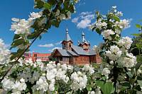 Память Щелковских новомучеников
