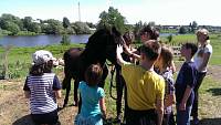 Поездка воспитанников воскресной школы Троицкого собора г.&nbsp;Щелково в&nbsp;Конный клуб с. Здехово
