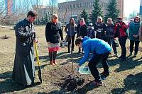 Акция по&nbsp;посадке деревьев в&nbsp;мемориальном сквере г.&nbsp;Щелково
