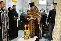 День донора в&nbsp;Орехово-Зуево
