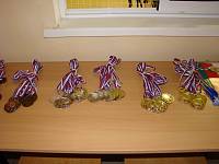 Турнир по&nbsp;пионерболу на&nbsp;кубок православной гимназии им.&nbsp;сщмч. Константина Богородского
