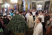 Рождество в&nbsp;Троицком-Кайнарджи