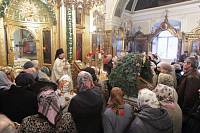 Рождество в&nbsp;Троицком-Кайнарджи