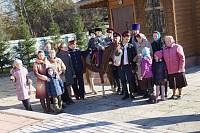 Верстание казаков в&nbsp;Петровском
