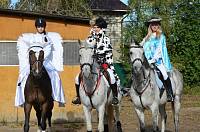 Фестиваль &laquo;Золотая осень&raquo;
