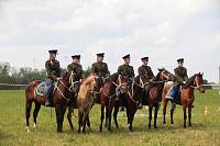 Фестиваль &laquo;Душоновские маневры&raquo;
