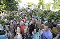 День Святой Троицы в&nbsp;Шарапово