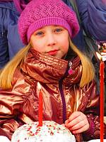 Пасхальные торжества в&nbsp;Богородском благочинии