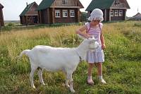 Богородская «Дружина-2012» на суздалькой земле