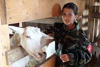 Православный семейный лагерь &laquo;Дружина&raquo; Богородского благочиния