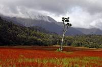 Путешествие православных богородцев в&nbsp;Новую Зеландию