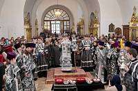 Архипастырский визит в&nbsp;Богородск