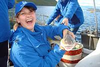 Путешествие в Исландию