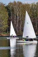 Праздник на&nbsp;лесной опушке