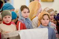 Наши олимпийцы