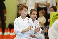 Фестиваль подмосковных айкидо-клубов в Ногинске