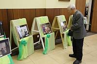 Выставка «Святыни Подмосковья» в Орехово-Зуеве