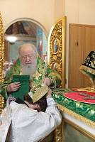 День Пресвятой Троицы на приходе Троицкого храма села Шарапово