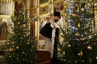 Рождество Христово в Богородском благочинии