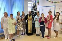 Рождество Христово в Балашихинском благочинии