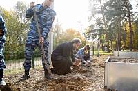 Акция «Лес Победы» в Ногинске