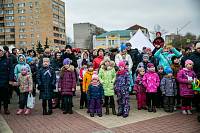 День народного единства в Щелково