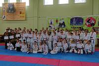 Детский фестиваль команд айкидо в Ногинске