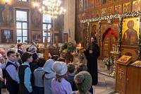 Рождество Христово в Балашихинском благочинии