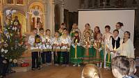 Рождество Христово в Богородском благочинии