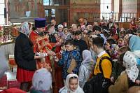 Пасха на приходах Богородского благочиния