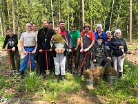 Посадка леса в Орехово-Зуевском благочинии
