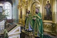 Праздник Святой Троицы в Шатурском благочинии