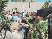 Праздник Святой Троицы в Шатурском благочинии