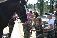 Подведение итогов программы летнего отдыха «Дружина» в Богородском благочинии