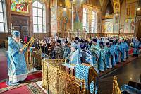 Архипастырский визит в Щёлково