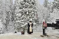 Заготовка главной новогодней ёлки страны во Фряновском лесничестве