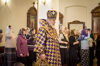 Архипастырский визит в Рошаль