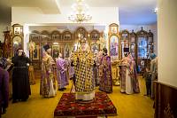 Архипастырский визит в Рошаль