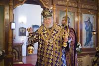 Архипастырский визит в Рошаль