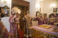 Архипастырский визит в Рошаль